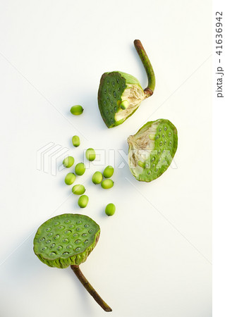 lotus seed close up lotus seed close up 41636942