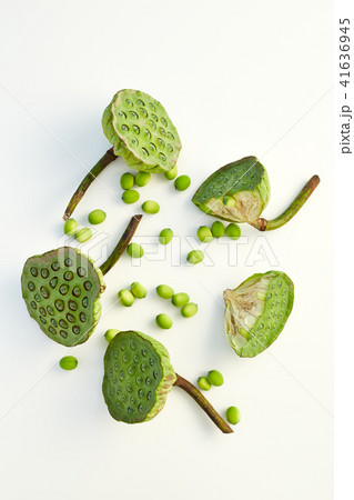 lotus seed close up 41636945