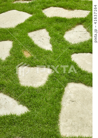 Stone block walkway 41637164