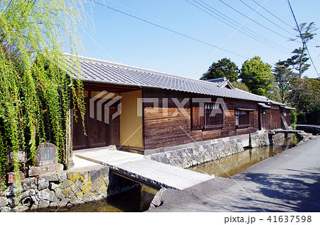 旧湯川家屋敷　柳　藍場川 41637598