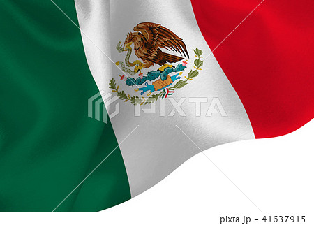 新しいコレクション メキシコ 国旗 イラスト ただ素晴らしい花