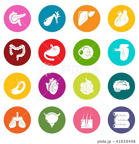 Internal human organs icons set colorful circles vector Internal human organs icons set colorful circles vector 41639498