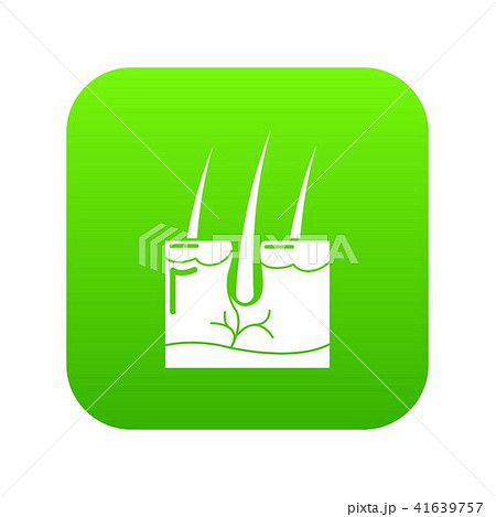 Hair skin icon green vector Hair skin icon green vector 41639757