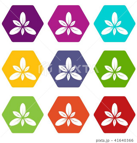 Leaf icons set 9 vector 41640366