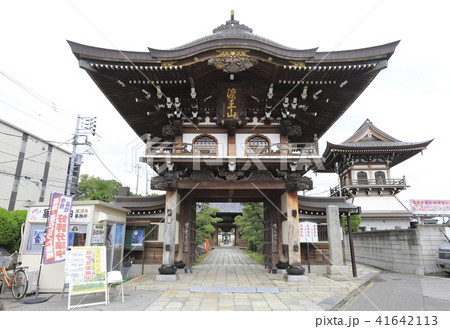 萬満寺(まんまんじ)の山門 千葉県松戸市 萬満寺(まんまんじ)の山門 千葉県松戸市 41642113