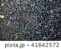 カブトムシの糞 41642572