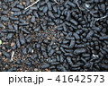 カブトムシの糞 41642573