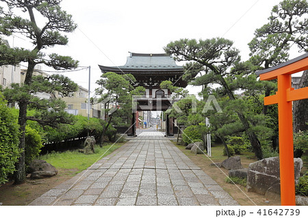 萬満寺の山門(仁王門) 千葉県松戸市馬橋 萬満寺の山門(仁王門) 千葉県松戸市馬橋 41642739