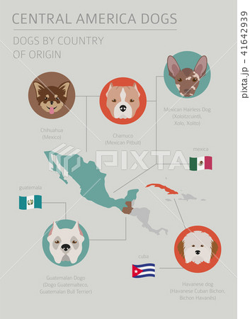 Dogs by country of origin. Latin american dogs 41642939