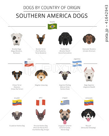 Dogs by country of origin. Latin american dogs 41642943