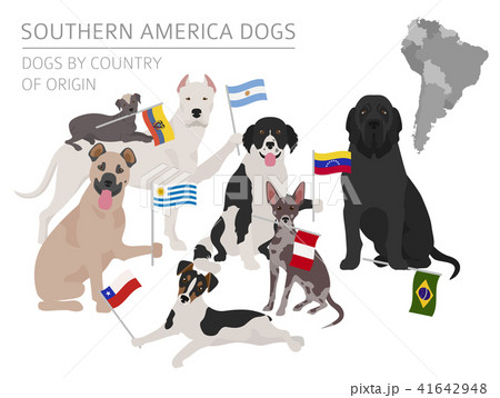 Dogs by country of origin. Latin american dogs 41642948