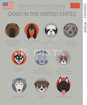 Dogs in the United States. American dog breeds Dogs in the United States. American dog breeds 41642953