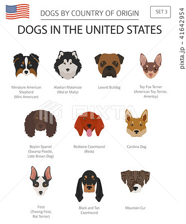 Dogs in the United States. American dog breeds Dogs in the United States. American dog breeds 41642954