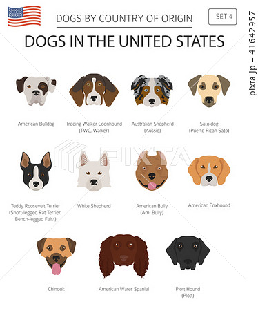 Dogs in the United States. American dog breeds 41642957