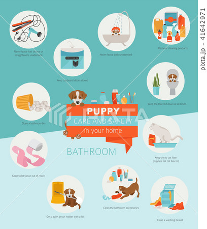 Puppy care and safety in your home. Bathroom. 41642971