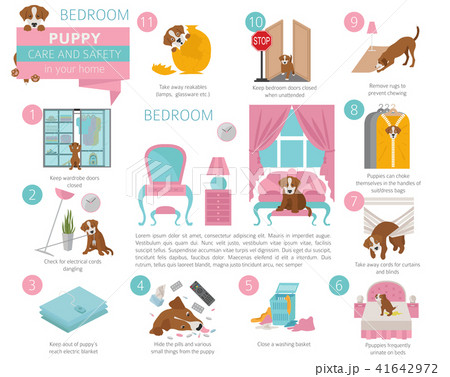 Puppy care and safety in your home. Bedroom. 41642972