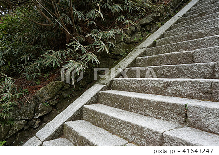 比叡山延暦寺 戒壇院 比叡山延暦寺 戒壇院 41643247