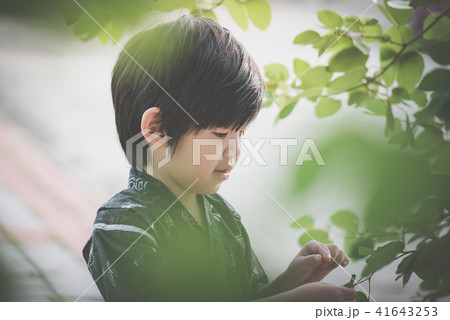 A little lovely boy in a kimono playing in a park 41643253