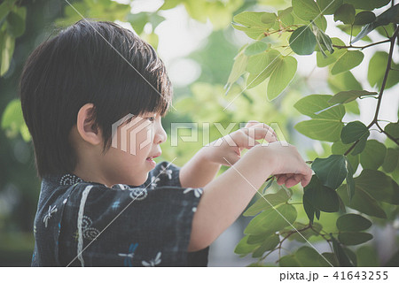 A little lovely boy in a kimono playing in a park 41643255