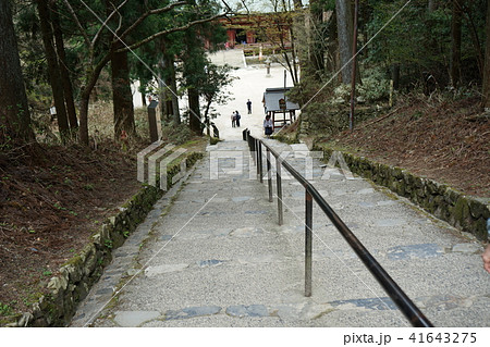 比叡山延暦寺西塔エリア常行堂・法華堂付近から釈迦堂を見る 41643275