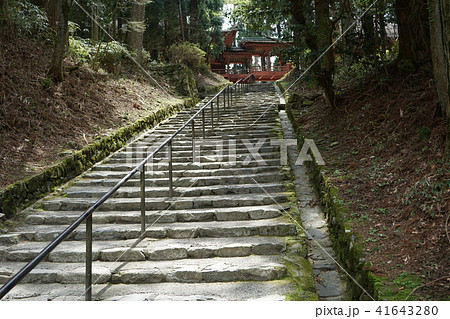 比叡山延暦寺西塔エリア釈迦堂の庭から常行堂・法華堂を見上げる 41643280