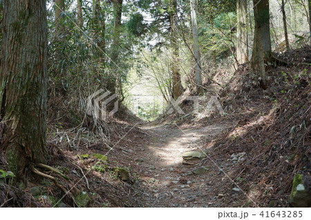 比叡山延暦寺西塔エリア釈迦堂 抜け道 41643285