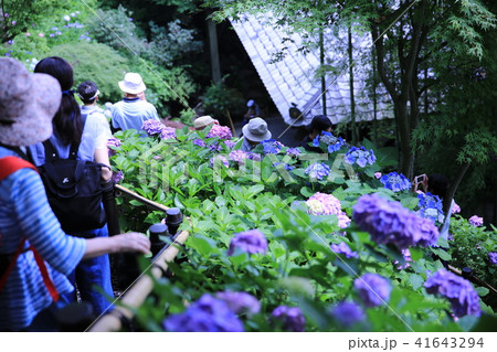 人・人・人・・・ 人・人・人・・・ 41643294