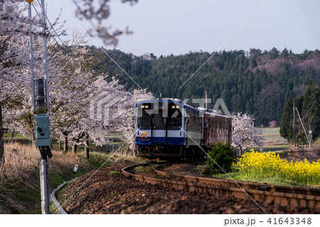 のと鉄道の春 のと鉄道の春 41643348
