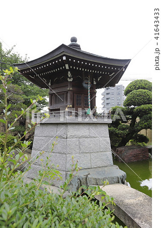 萬満寺の境内のお堂と池 千葉県松戸市馬橋 萬満寺の境内のお堂と池 千葉県松戸市馬橋 41643433