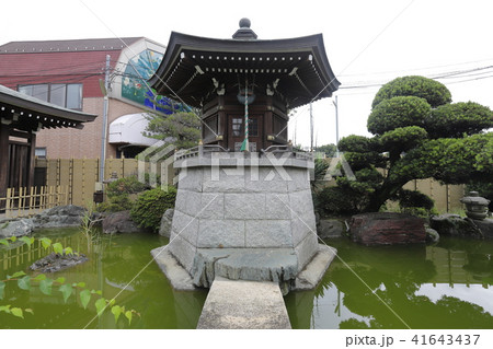 萬満寺の境内のお堂と池 千葉県松戸市馬橋 萬満寺の境内のお堂と池 千葉県松戸市馬橋 41643437