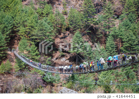 trekker cross the river by suspension bridge trekker cross the river by suspension bridge 41644451