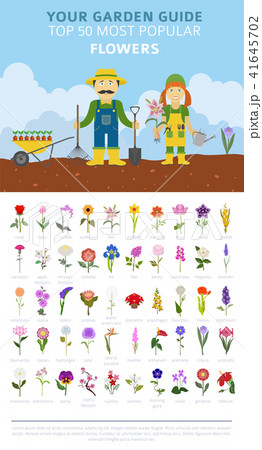 Your garden flowers guide infographic. Top 50 41645702