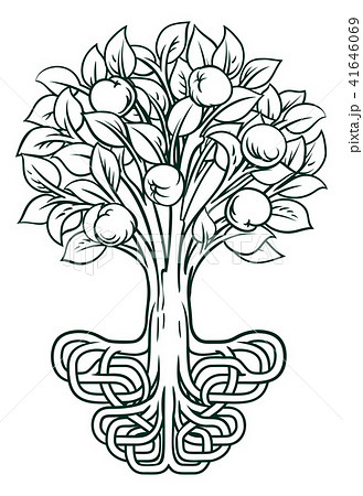 Apple Tree Roots Concept 41646069