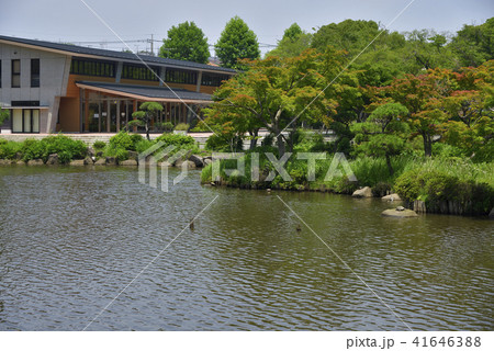 夏の横浜市こども自然公園、大池 41646388