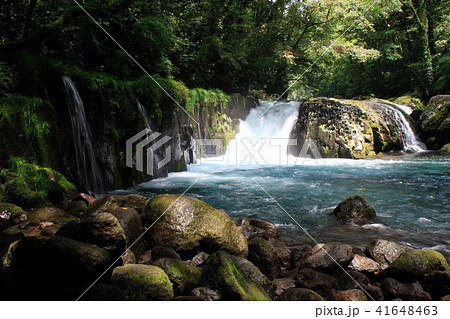 初夏の菊池渓谷　清涼感溢れる渓流と　水と緑の癒しの森 41648463