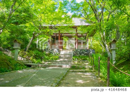 京都・嵯峨嵐山 初夏の常寂光寺 41648468