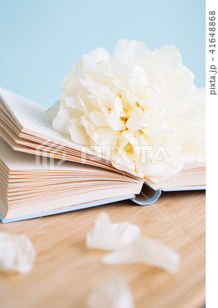 Peony flower and book on blue background Peony flower and book on blue background 41648868