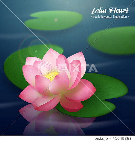 realistic lotus monet drawing style close by dead fl...