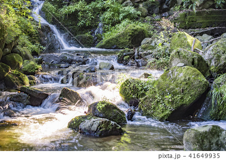 【万葉公園　渓流】 41649935