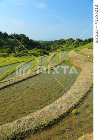 下赤阪の棚田 日本の棚田百選 大阪府千早赤阪村の写真素材