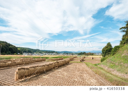 秋の農村風景 41650338