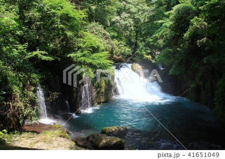 初夏の菊池渓谷　清涼感溢れる渓流と　水と緑の癒しの森 41651049