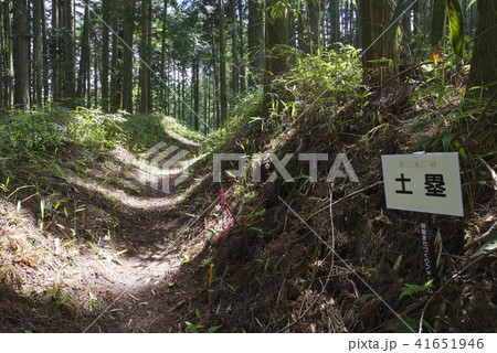 明知城・土塁 明知城・土塁 41651946