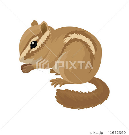Flat Vector Icon Of Small Brown Chipmunk Small のイラスト素材