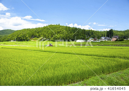 風景 田舎 水田 農業 田んぼ 田植え 植物 稲田 植え 農村 農地 耕作 風景 田舎 水田 農業 田んぼ 田植え 植物 稲田 植え 農村 農地 耕作 41654045