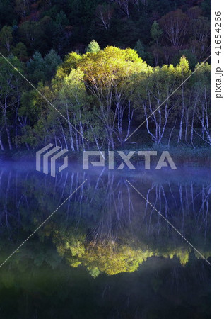 志賀高原の秋 41654266