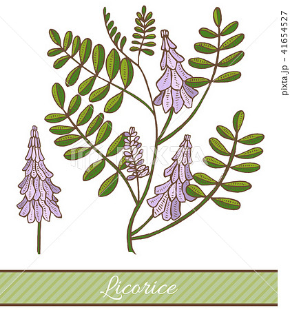 Colored Licorice in Hand Drawn Style Colored Licorice in Hand Drawn Style 41654527