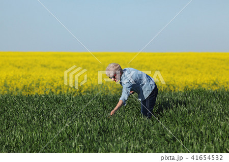 Farmer examining rapeseed and wheat plants fields Farmer examining rapeseed and wheat plants fields 41654532