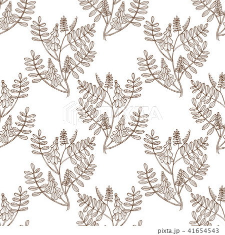 Licorice Pattern in Hand-Drawn Style Licorice Pattern in Hand-Drawn Style 41654543