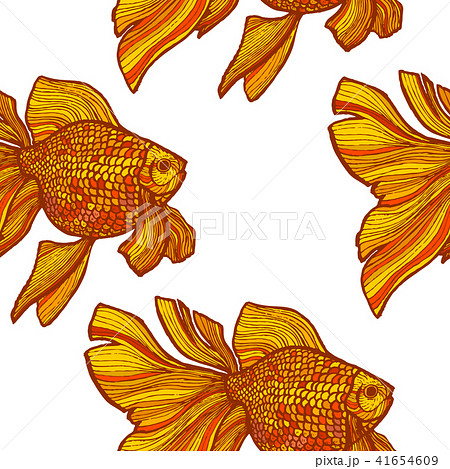 Colored Goldfish Pattern in Hand-Drawn Style Colored Goldfish Pattern in Hand-Drawn Style 41654609